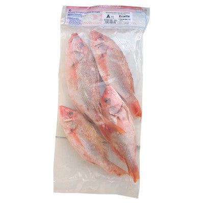 ABCHEE & fils Vivaneau entier écaillé 2kg